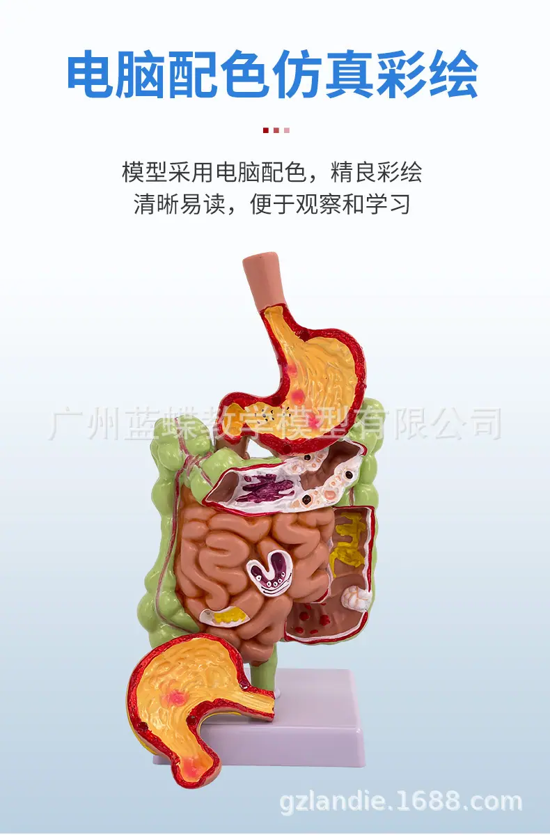 详情_05