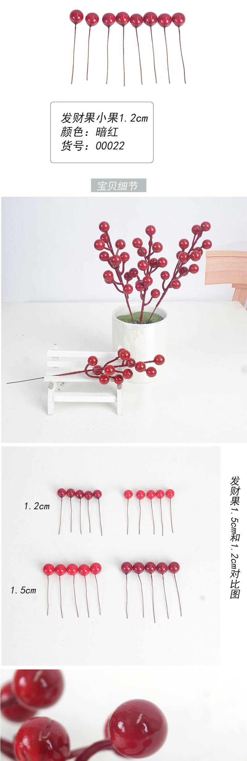 发财果_05.jpg