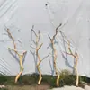 Ramas secas, ramas muertas, arte, ramas marchitas, madera muerta, troncos de árboles, pelados naturalmente, color natural, artículos decorativos, (forma/estilo), percheros, decoraciones, más toccones de árbol