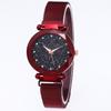 Reloj de Moda Nuevo Estilo TikTok Trendy Reloj Cielo Estrellado Reloj de Mujer Correa de Malla Milanesa Magnética Reloj de Mujer