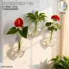 Jarrón de ventosa transparente con forma de corazón para colgar en la pared, creativo sin taladro para ventana, soporte decorativo para flores hidropónicas de plantas verdes con forma de corazón