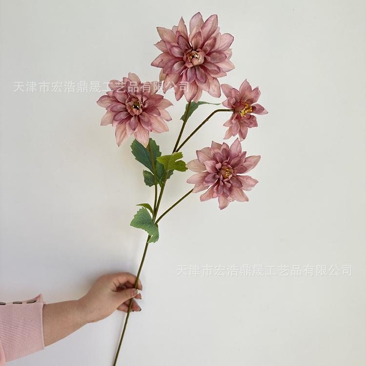 微信图片_202303271336515_副本