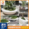 Asientos para Piscina de Árbol de Fibra de Vidrio, Sillas de Ocio para Centros Comerciales, Taburetes para Piscina de Árbol con Forma Especial para Parques, Asientos para Piscina de Árboles Exteriores Personalizados
