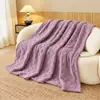 Otoño Invierno 2026 Venta Caliente Manta de Tafetán con Forro Polar Engrosada Manta para Siesta de Invierno en la Oficina Cubierta de Manta para Sofá Manta de Sábana Manta Chal