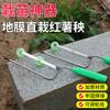 Herramientas para Plantar Verduras Horquilla Herramienta de Plantación Plana Herramienta para Plantar Plántulas de Cebolla Plantador de Plántulas de Camote Plantador de Plántulas de Camote
