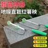 Sembradora de Plántulas de Camote Insertador de Plántulas de Camote Herramienta de Plantación de Verduras Herramienta de Plantación con Horquilla Artefacto de Plantación de Plántulas de Cebolla