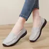 Sapatos Casuais Confortáveis Versáteis Femininos para Primavera, Mocassins, Sapatilhas Casuais da Moda, Sapatos de Trabalho, Sapatos Femininos com Solado Macio Antiderrapante