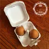 Bandeja de Papel para Ovos Bandeja de Ovos para Jardim de Infância Caixa de Ovos de Polpa de Papel Bandeja de Ovos com Tampa Apenas para Ovos Nativos Caixa de Embalagem Metabo