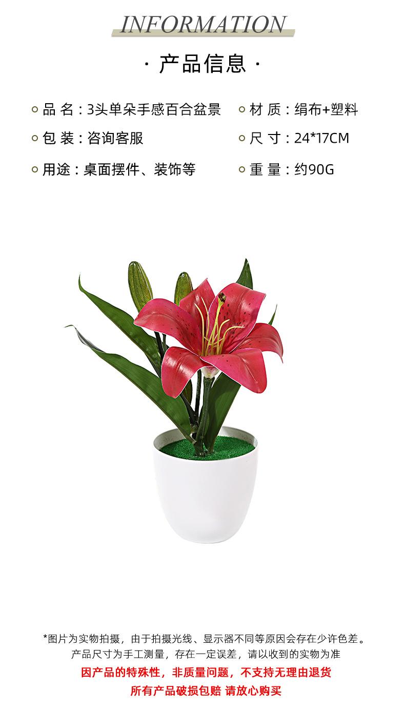 保侬详情_04.jpg