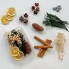 Paquete de Materiales Hechos a Mano para Bricolaje Flores Mixtas Plantas Flores Secas Piñas de Navidad Estilo Bosque para Jardín de Infancia Creación Ambiental Decoración