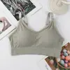 Nuevo Wrap de Pecho de Oso Japonés con Taza Fija Sin Costuras Hilo Algodón Wrap Deportivo para Pecho Antideslizante Pieza Trasera Hermosa Tubo Ropa Interior