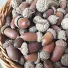 30 Pinhas, Pinhas Bonitas, Decoração de Jardim de Infância, Joias Criativas Feitas à Mão, Pintura de Pinhas, Torre de Pinhas DIY Pinha