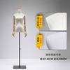 Loja de roupas modelo adereços feminino meio corpo roupas femininas janela roupas de mesa vestido de noiva manequim boneca modelo display stand