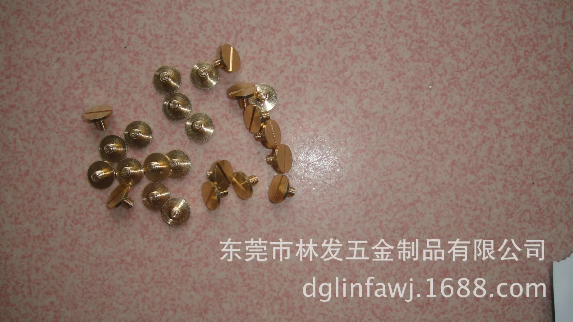 DSC03502