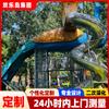 Fabricante Comunitario de Toboganes de Acero Inoxidable, Equipamiento de Diversión No Motorizado, Planificación y Diseño Personalizado de Parques Infantiles, Escultura de Paisaje