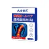 Parche de Yeso para el Cuidado de la Salud Sanchuan Zhenai para Hernia de Disco Lumbar, Dolor de Espalda, Entumecimiento en las Piernas, Tensión Muscular Lumbar, Fabricante de Parches para la Columna Lumbar