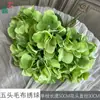 Hortênsia de Tecido de Cinco Cabeças, Hortênsia de Borda Queimada, Flor Artificial para Decoração de Salão de Banquete de Casamento, Parede de Flores Artificiais para Palco de Hotel