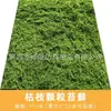 [Musgo de Galho Seco] Gramado Paisagístico de Musgo Simulada Planta Verde Micro-Paisagismo Decoração de Planta Gramado Biônico Artificial
