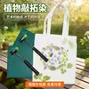 Kit de Materiales para Herramientas de Teñido y Frotado de Plantas, Bolsa de Lona Tipo Abanico, Frotado para Estampado y Teñido, Agente Fijador de Color de Alumbre