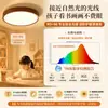 Lámpara de Techo de Emisión Directa para Sala de Estar, Bombillas LED Estilo Vintage para Pasillo, Habitación Infantil, Iluminación Decorativa para el Hogar Zhongshan, Incluye Instalación
