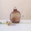 Vaso de vidro simples e irregular vintage, transparente, estilo hidropônico, flor, utensílios para arranjos florais, ornamentos decorativos de mesa