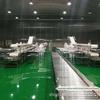 Linha de produção de corte de carne bovina e ovina linha de esteira linha de corte de suínos serra de corte em disco produtos de carne suína linha de produção de corte