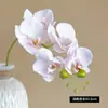 5 Cabeças sensação hidratante orquídea borboleta simulação Orquídea Casamento filme flor artificial fotografia decoração flor eterna atacado