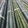 Postes Decorativos de Bambú, Postes de Bambú Verdes Gruesos y Delgados, Postes de Bambú para Danza, Postes de Bambú Verdes para Separadores, Materiales de Postes de Bambú para Interiores y Exteriores, Bambú Nanzhu