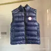 Comercio Transfronterizo Canada Goose 2229 Chaqueta de Plumas para Hombre y Mujer, Chaleco de Costilla Brillante, Chaleco de Cuello Alto, Chaleco Casual para Exteriores