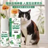 Spray Calmante para Gatos Furriyo - Extracto de Hierba Gatera para Aliviar la Ansiedad y Estimular el Interés, Spray para Jugar con Gatos