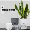 Recipientes Hidropónicos, Macetas para Flores Perezosas Auto-Absorbentes Extra Grandes, Macetas para Flores Auto-Absorbentes de Agua, Macetas Hidropónicas para Potos y Anturios, Macetas Decorativas de Interior