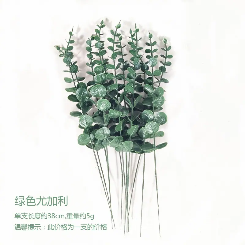 绿色尤加利