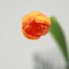 Tulipas de Galho Pequeno, Materiais Florais Artificiais Hidratantes, Arranjos Florais, Decorações para Casa, Flores Artificiais Decorativas, Adereços para Fotografia