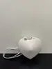 Bolso Alaia en Forma de Corazón Transfronterizo Moda Europea y Americana Bolso Caja Corazón de Durazno Diseño de Nicho Bolso de Hombro Cruzado de Alta Calidad Dropshipping