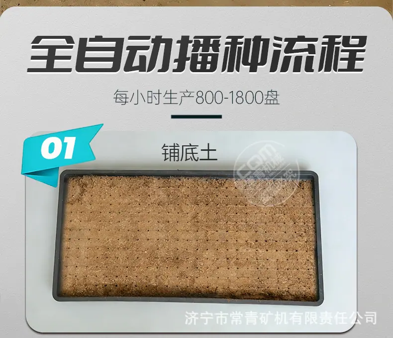 详情 (3).jpg