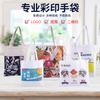 Corea del Sur Ins Bolsa de Lona Estampado Leopardo Un Hombro Cruzado Bolsa de Niña Combinación Total Bolsa de Tela Gran Capacidad Bolso Tote de Un Hombro