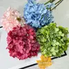 256 Piezas de Hortensia Grande Individual, Hortensia Individual Sencilla, Flores de Seda para Fotografía de Paisajismo de Bodas, Adornos de Interior, Flores Artificiales