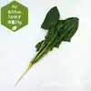 Venta al por mayor directa de fábrica de todo tipo de verduras de tacto de alta simulación PU verduras falsas PU simulación pepino col