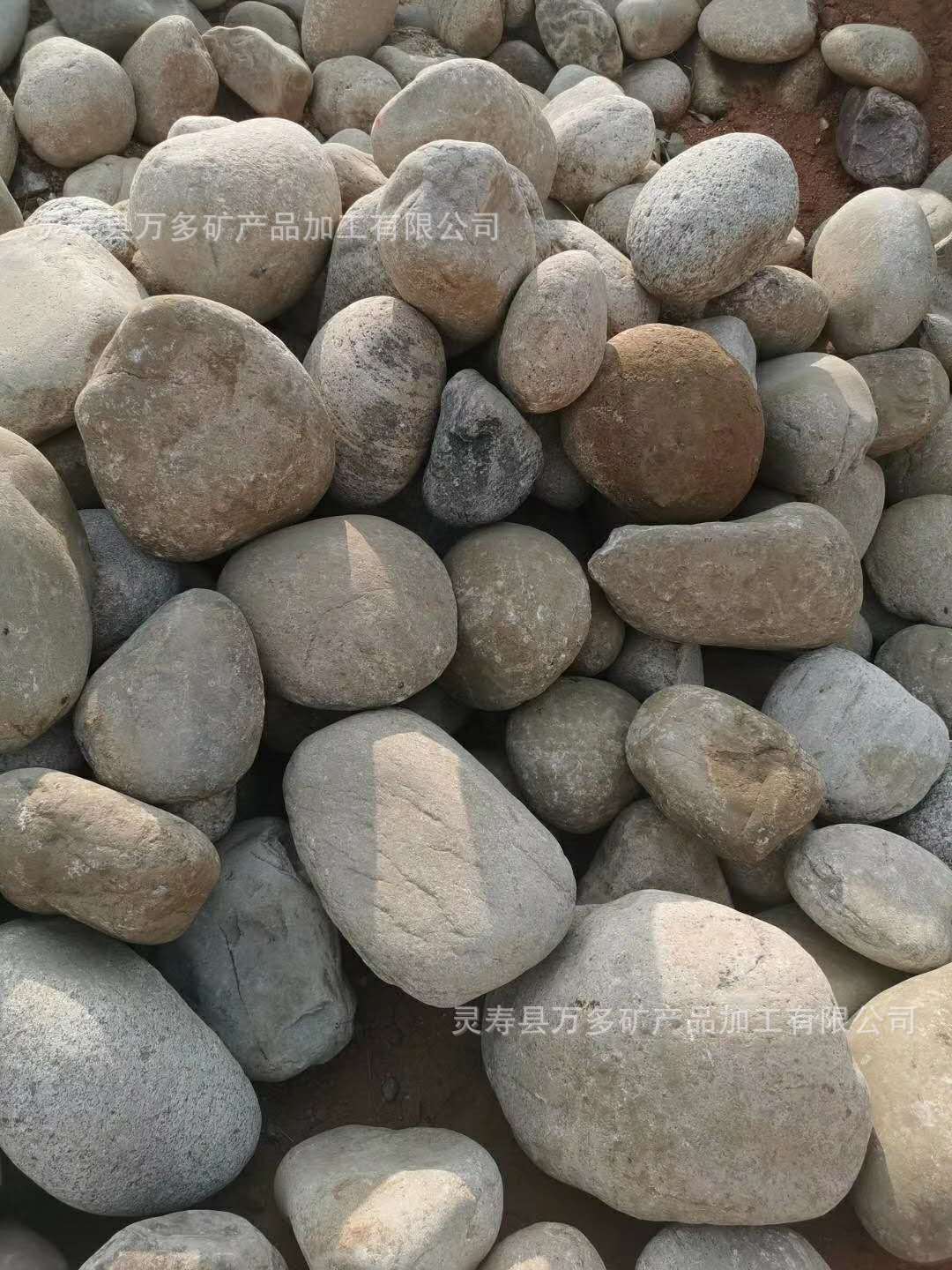 微信图片_20200518184422 - 副本