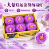 Lâmpada de ghee de lótus roxa de 4 horas, ghee à base de plantas doméstico, sem fumaça, caixa de alumínio, fabricante de velas, atacado em grandes quantidades