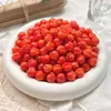 Cuentas de Bodhi de Garra de Gato Natural para Pulseras de Semillas de Bodhi Pulidas de Alto Brillo para Bricolaje, Cuentas de Oración Budistas para Mujeres, Venta al por Mayor