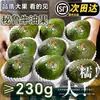 15 abacates grandes, fruta fresca sazonal importada, caixa inteira com frete grátis, suplemento alimentar infantil pronto para comer, abacates cremosos maduros