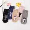 Bolsa mixta de cuatro estaciones de algodón con dibujos de tubo corto de algodón con puntos bolsa de algodón barco de dibujos animados Calcetines gato lindos calcetines de ola japonesa coreana