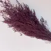 Hierba de Amor Blanqueada Flor Inmortal Hierba de Amor Blanqueada Ramo Seco Material Base Yunnan Venta Directa Ramo Pequeño Amazon