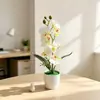 Día de Año Nuevo Top Grande Fondo Pequeño 7 Orquídeas Phalaenopsis Bonsái Decoración de Jardín para el Hogar Flor de Simulación Planta Verde Planta en Maceta Adorno