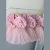 2025 Novo Vestido de Apresentação de Piano para Meninas Vestido de Daminha Casamento Menininha Vestido de Princesa Fantasia Infantil para Apresentação de Anfitriã