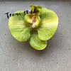 Cabeça de Flor de Orquídea Phalaenopsis Artificial, Textura de Película Impressa em 3D, Buquê Exquisito para Decoração de Casamento e Lembrança