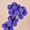 Bolas Doradas del Fabricante, Flores Naturales Reales, Materiales para Manualidades, Decoración del Hogar para la Sala de Estar, Arreglos Florales, Adornos de Flores Secas, Martillos Dorados