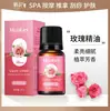Aceite de masaje de jengibre y artemisa para terapia de meridianos de cuerpo completo, masaje de hombros, cuello, espalda, abdomen, aceite de masaje gua sha