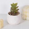Simulación de planta suculenta, cactus, flores artificiales falsas, planta verde, pared, decoración interior del hogar, pequeños adornos combinados